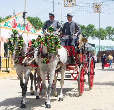 Seville, Endülüs 'teki panayırda atlar. İspanya. Avrupa. 1 Mayıs 2022