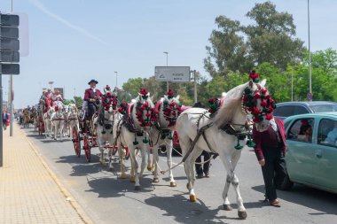 Seville, Endülüs 'teki panayırda atlar. İspanya. Avrupa. 1 Mayıs 2022