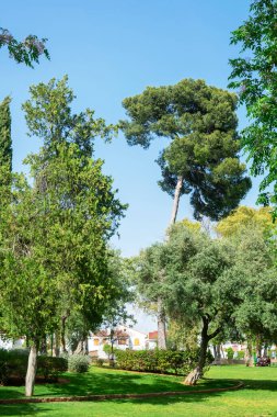 Sevilla, Endülüs 'teki Alquera Parkı. İspanya. Avrupa. 1 Mayıs 2022