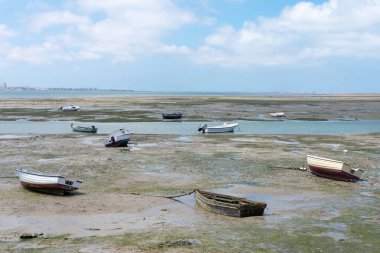 Cadiz 'deki Puerto Real Körfezi kıyısında balıkçı tekneleri. Endülüs İspanya. Avrupa. 27 Haziran 2021