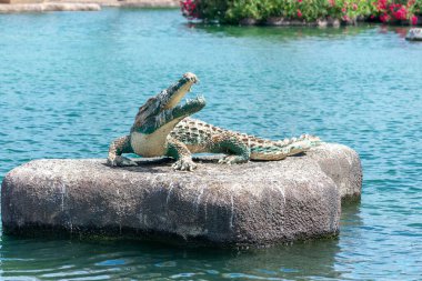 Torrevieja 'daki Uluslar Parkı Bahçesi. Alicante, Costa Blanca 'da. İspanya Avrupa. 15 Temmuz 2021