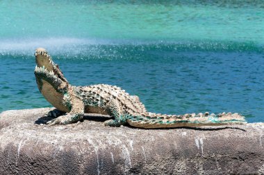 Torrevieja 'daki Uluslar Parkı Bahçesi. Alicante, Costa Blanca 'da. İspanya Avrupa. 15 Temmuz 2021