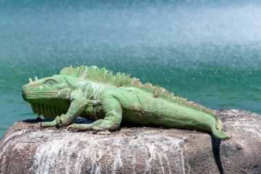 Torrevieja 'daki Uluslar Parkı Bahçesi. Alicante, Costa Blanca 'da. İspanya Avrupa. 15 Temmuz 2021