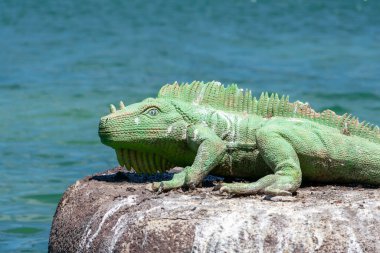 Torrevieja 'daki Uluslar Parkı Bahçesi. Alicante, Costa Blanca 'da. İspanya Avrupa. 15 Temmuz 2021