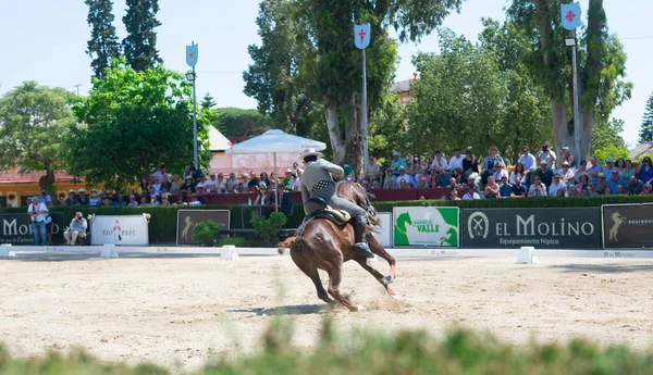 Foire Aux Chevaux Est Une Foire Qui Tient Chaque Mois — Photo