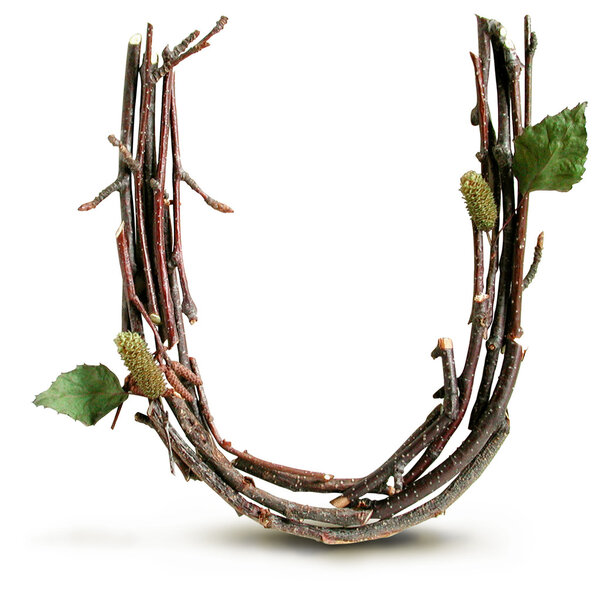 Photograph of Natural Twig and Stick Letter U