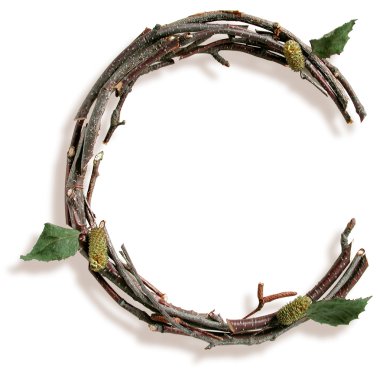 doğal dal ve sopa harf c