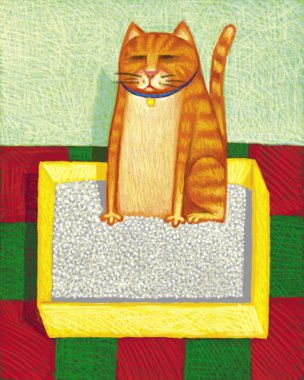kedi kutu çizimi