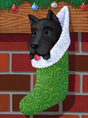 köpek Noel çorap içinde gösteren resim