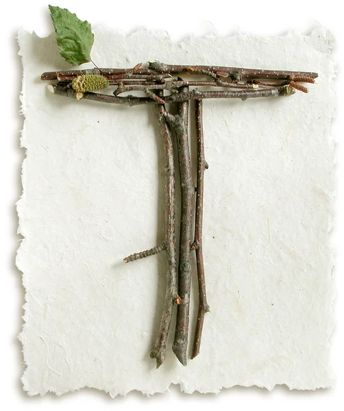 Twig naturale e bastone lettera T — Foto Stock