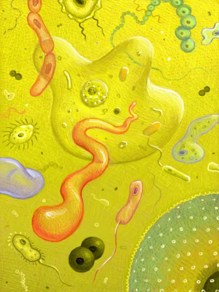 Illustration of Germs — Stock Photo, Image