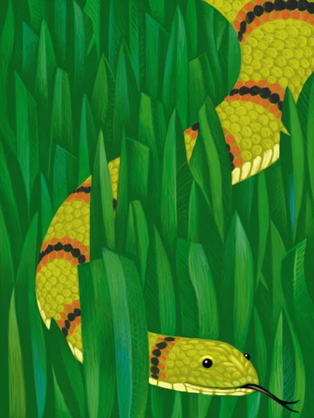 Ilustracja węża — Zdjęcie stockowe