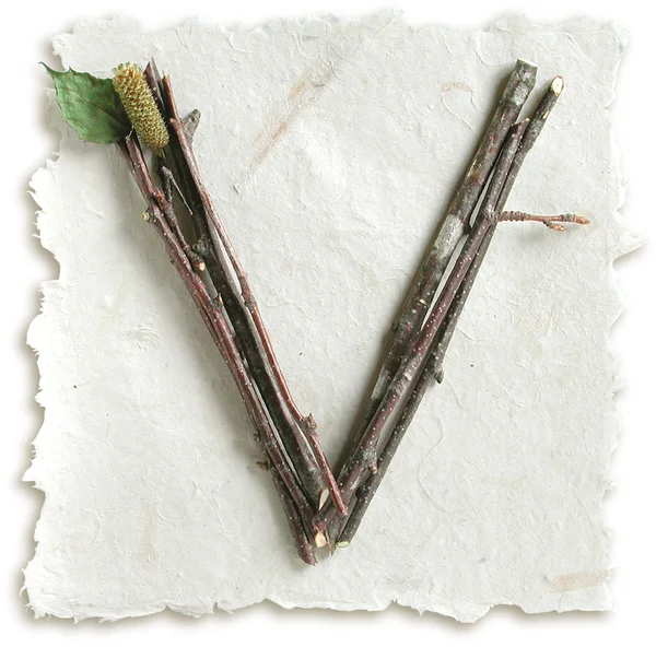 Natural Twig and Stick Letter V — Stock Photo, Image