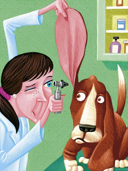 Ilustração do veterinário — Fotografia de Stock