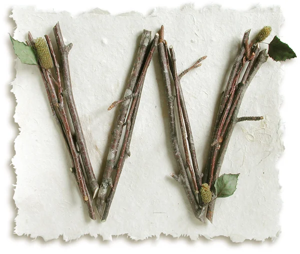Přírodní větvičku a držet písmeno w — Stock fotografie