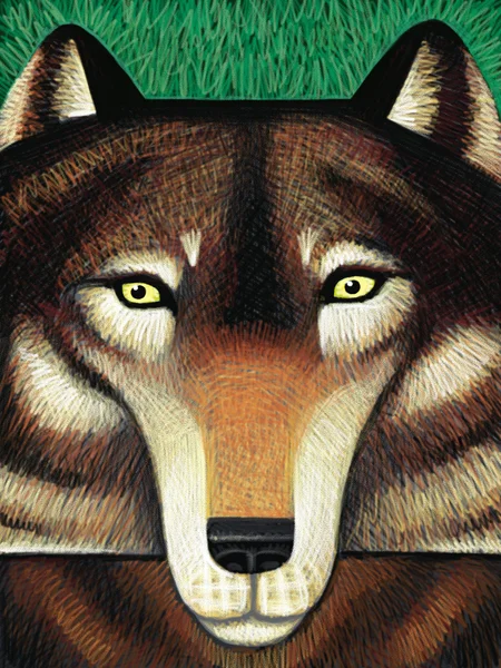 Ilustración de Wolf — Foto de Stock