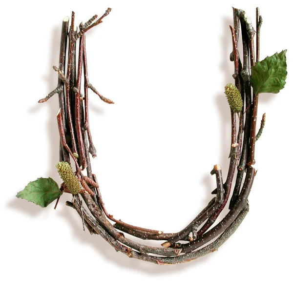 Natural Twig and Stick Letter U — Stock Photo, Image