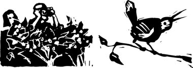 vektör çizim kuş gözlem