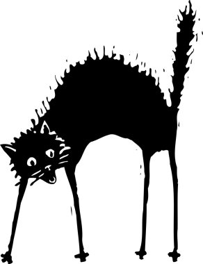 gravür illüstrasyon kedi