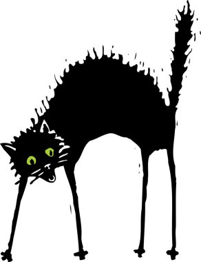 gravür illüstrasyon kedi