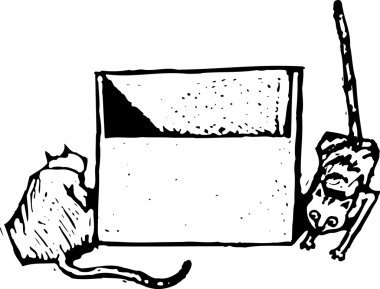 gravür illüstrasyon kedi