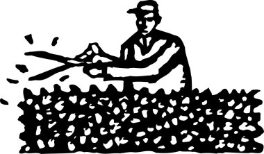 Çit kırpma bahçıvan vektör çizim