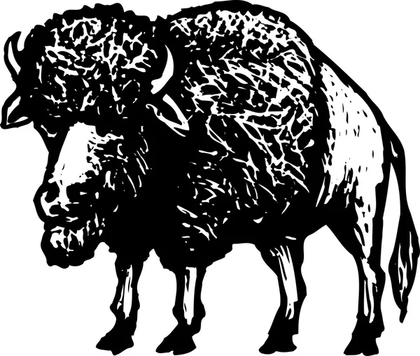 Bisões ou búfalos — Vetor de Stock