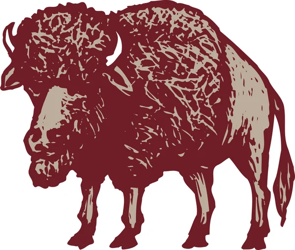 Bison or Buffalo — Stock Vector