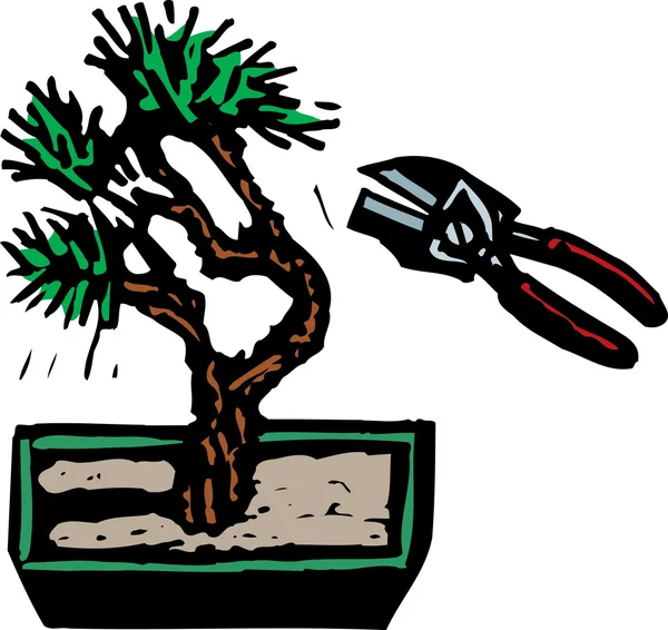 Drzeworyt ilustracja Bonsai — Wektor stockowy