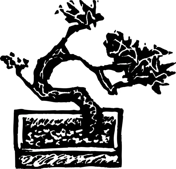 Дерево Бонсай — стоковый вектор
