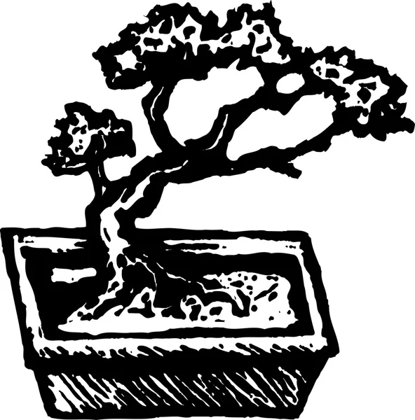 Árbol de Bonsai — Vector de stock