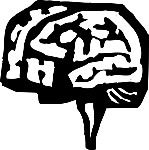 Houtsnede illustratie van hersenen — Stockvector