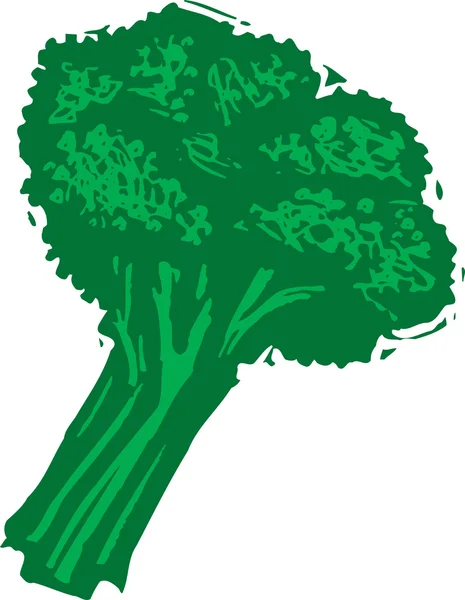 Illustrazione xilografica di Broccoli — Vettoriale Stock