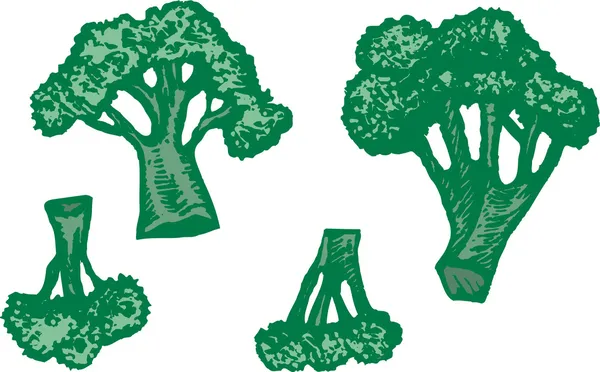 ブロッコリーの木版画イラスト — ストックベクタ