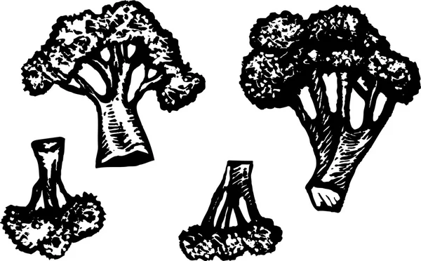 Woodcut illustration af Broccoli – Stock-vektor