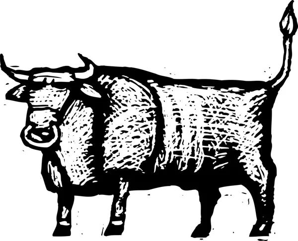 Vector illustration of Bull — Stock Vector