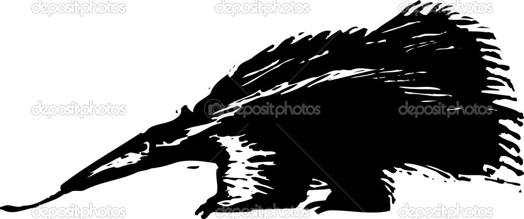 Vector illustration of Anteater