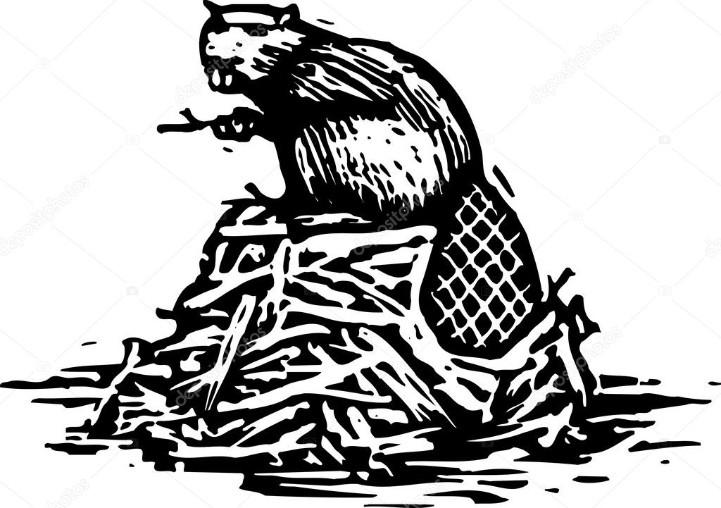 Woodcut Illustration of Beaver