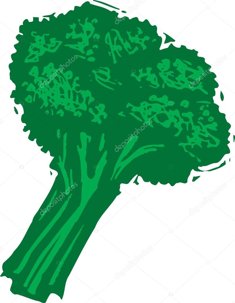 Woodcut illustration of Broccoli