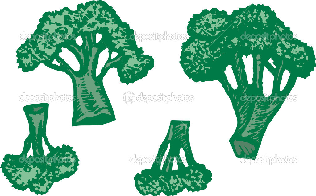 Woodcut Illustration of Broccoli