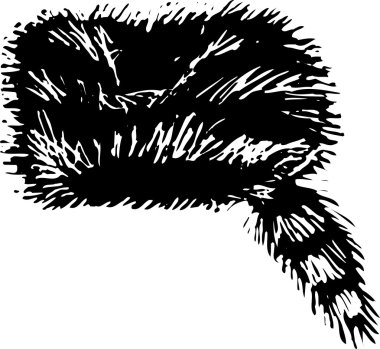 Woodcut Illustration of Coonskin Cap clipart