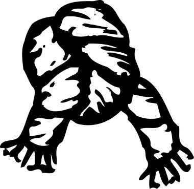 halat gravür çizimi