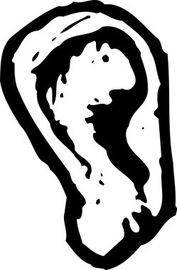 kulak gravür çizimi