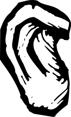 kulak gravür çizimi