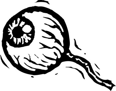 göz küresi gravür çizimi