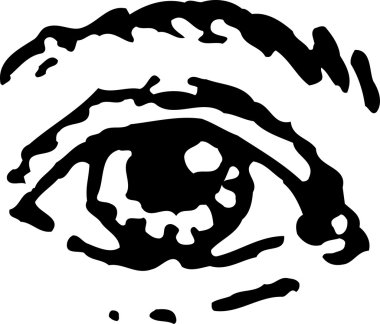 göz küresi gravür çizimi