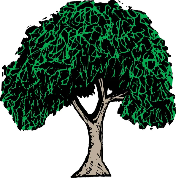 Drzeworyt ilustracja drzewa wiąz — Wektor stockowy