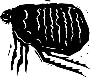 Pirenin Ahşap Çizimi