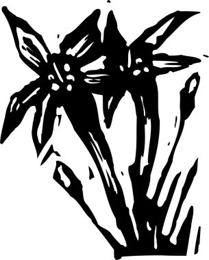 gravür çizim çiçek