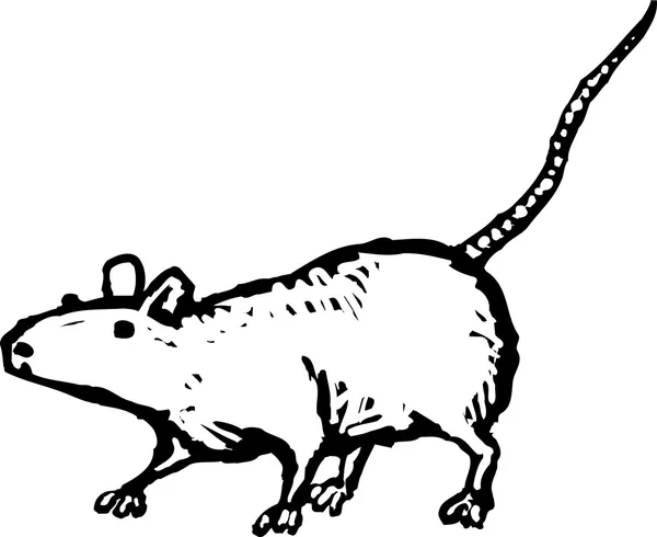 Vektor Illustration von phantasievollen Ratte Haustier — Stockvektor